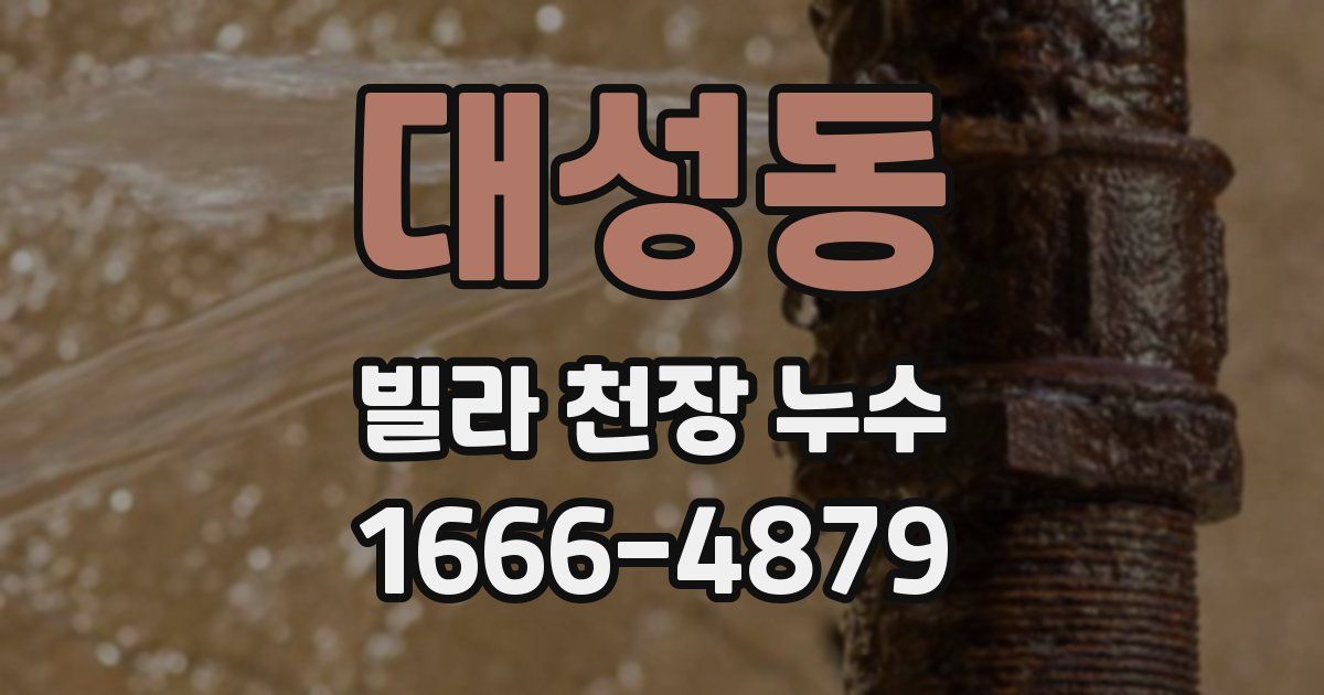 대성동 빌라 천장 누수