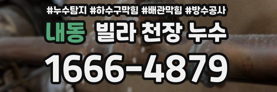 내동 빌라 천장 누수
