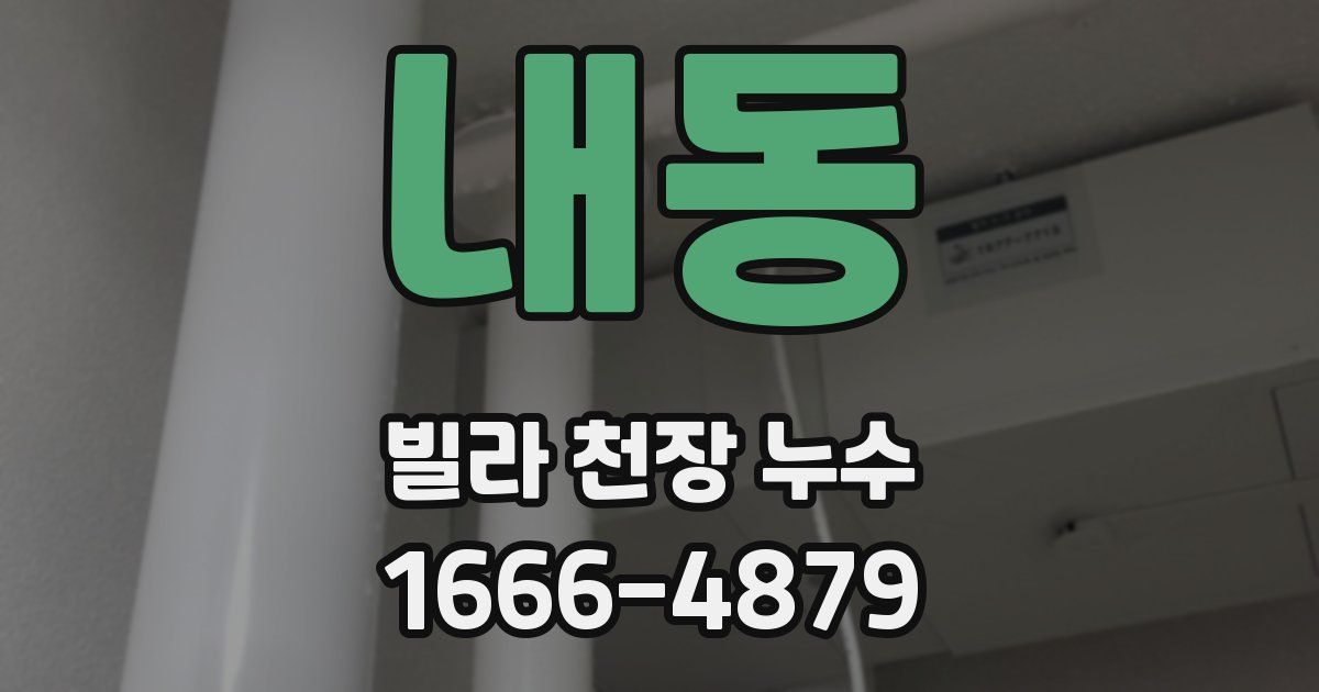 내동 빌라 천장 누수