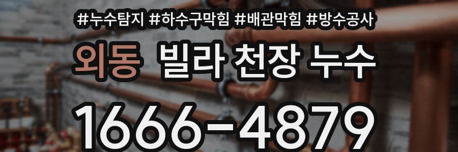 외동 빌라 천장 누수