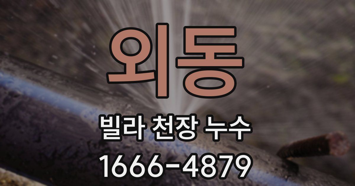 외동 빌라 천장 누수