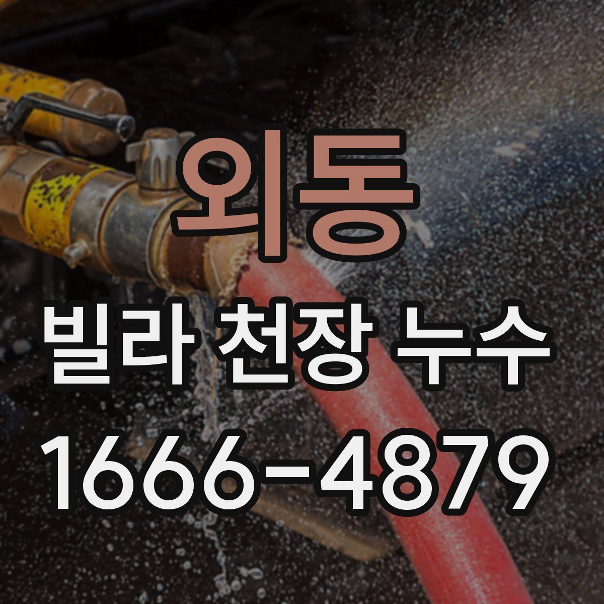 외동 빌라 천장 누수