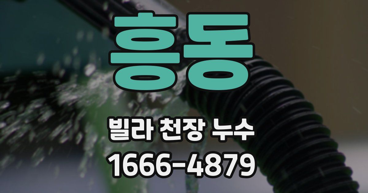 흥동 빌라 천장 누수