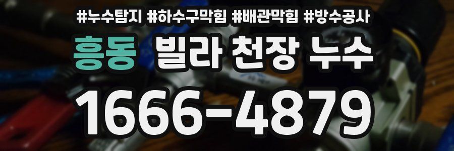 흥동 빌라 천장 누수