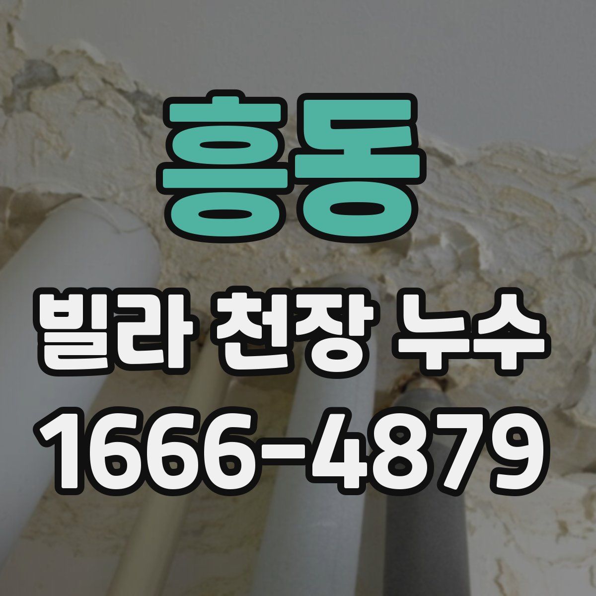 흥동 빌라 천장 누수