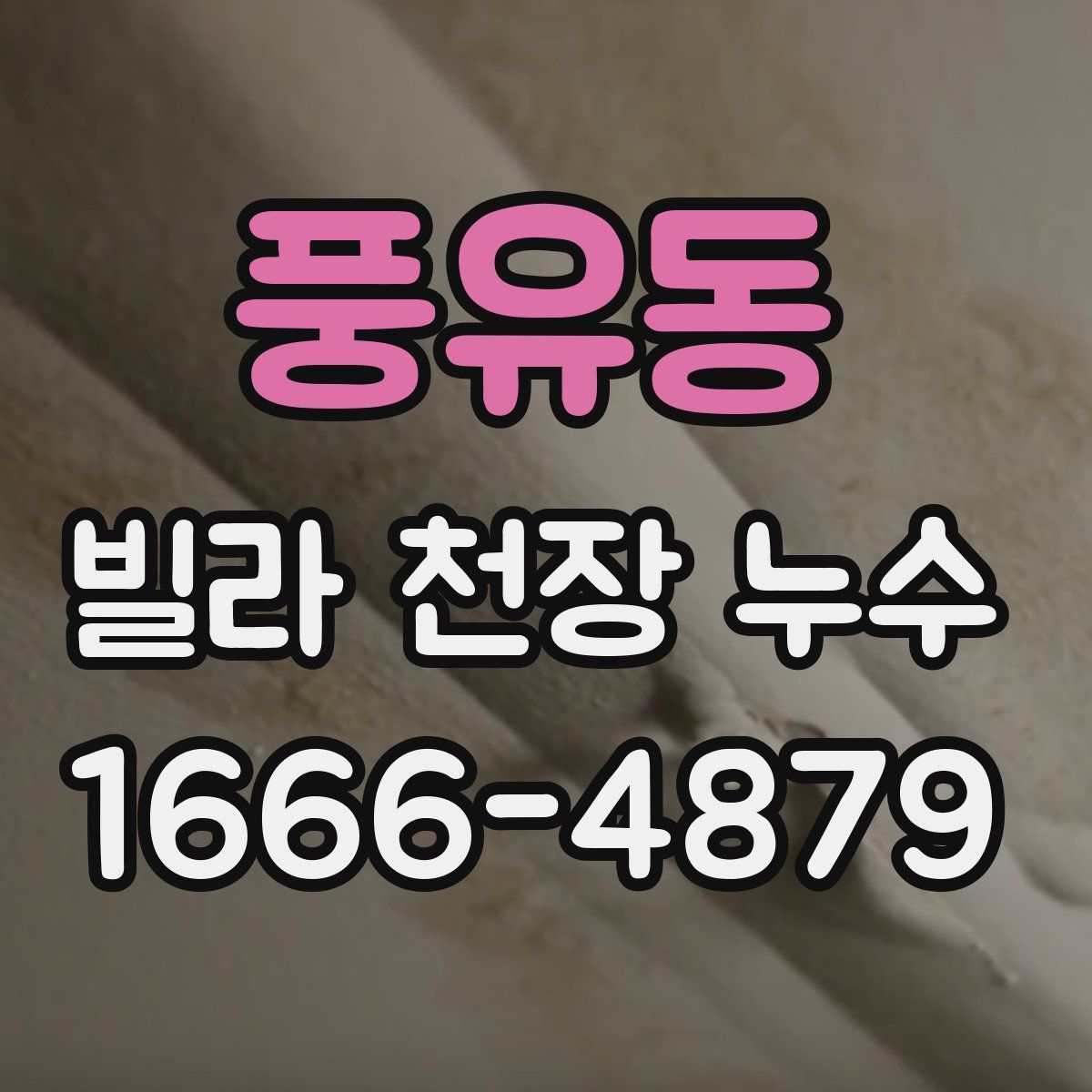 풍유동 빌라 천장 누수