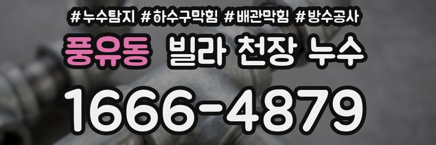 풍유동 빌라 천장 누수