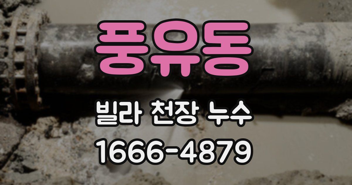 풍유동 빌라 천장 누수