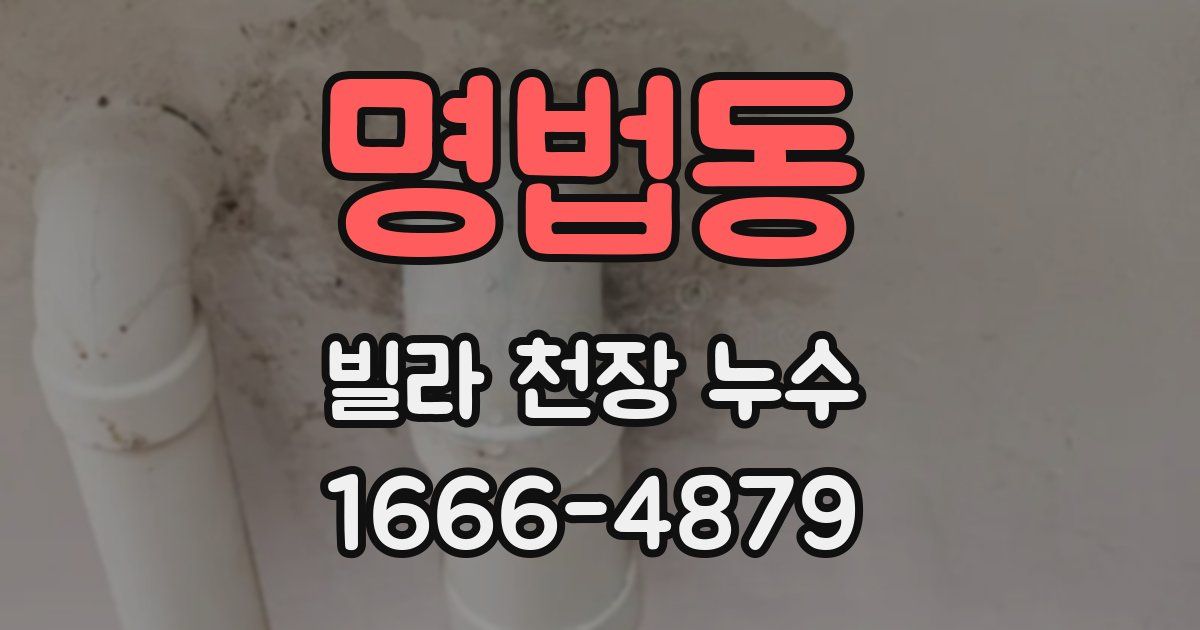 명법동 빌라 천장 누수