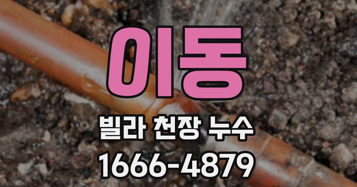 이동 빌라 천장 누수
