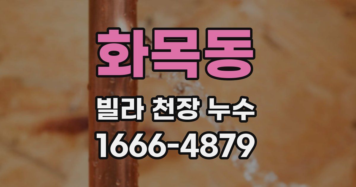 화목동 빌라 천장 누수