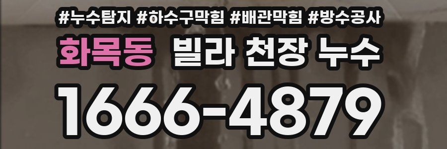 화목동 빌라 천장 누수
