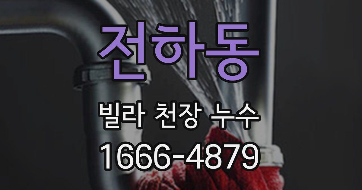 전하동 빌라 천장 누수
