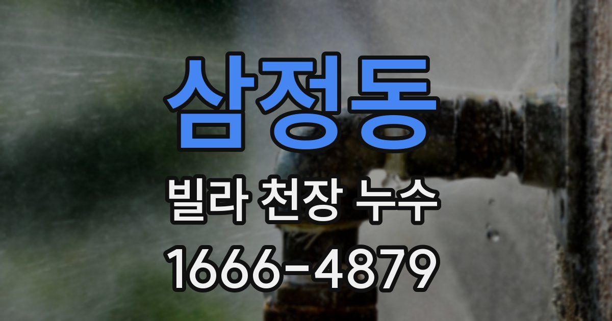 삼정동 빌라 천장 누수