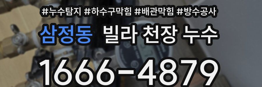 삼정동 빌라 천장 누수