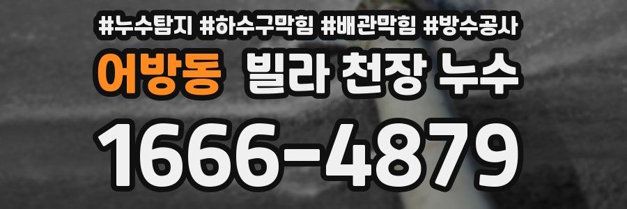 어방동 빌라 천장 누수