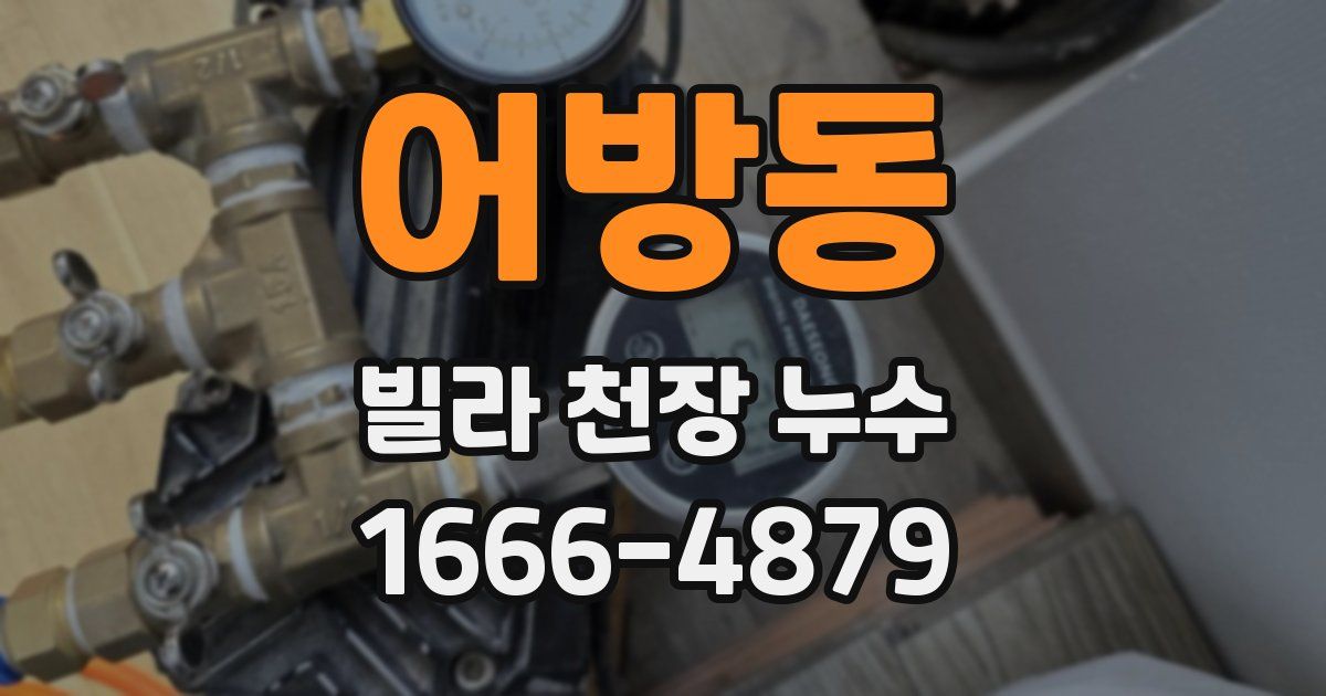 어방동 빌라 천장 누수
