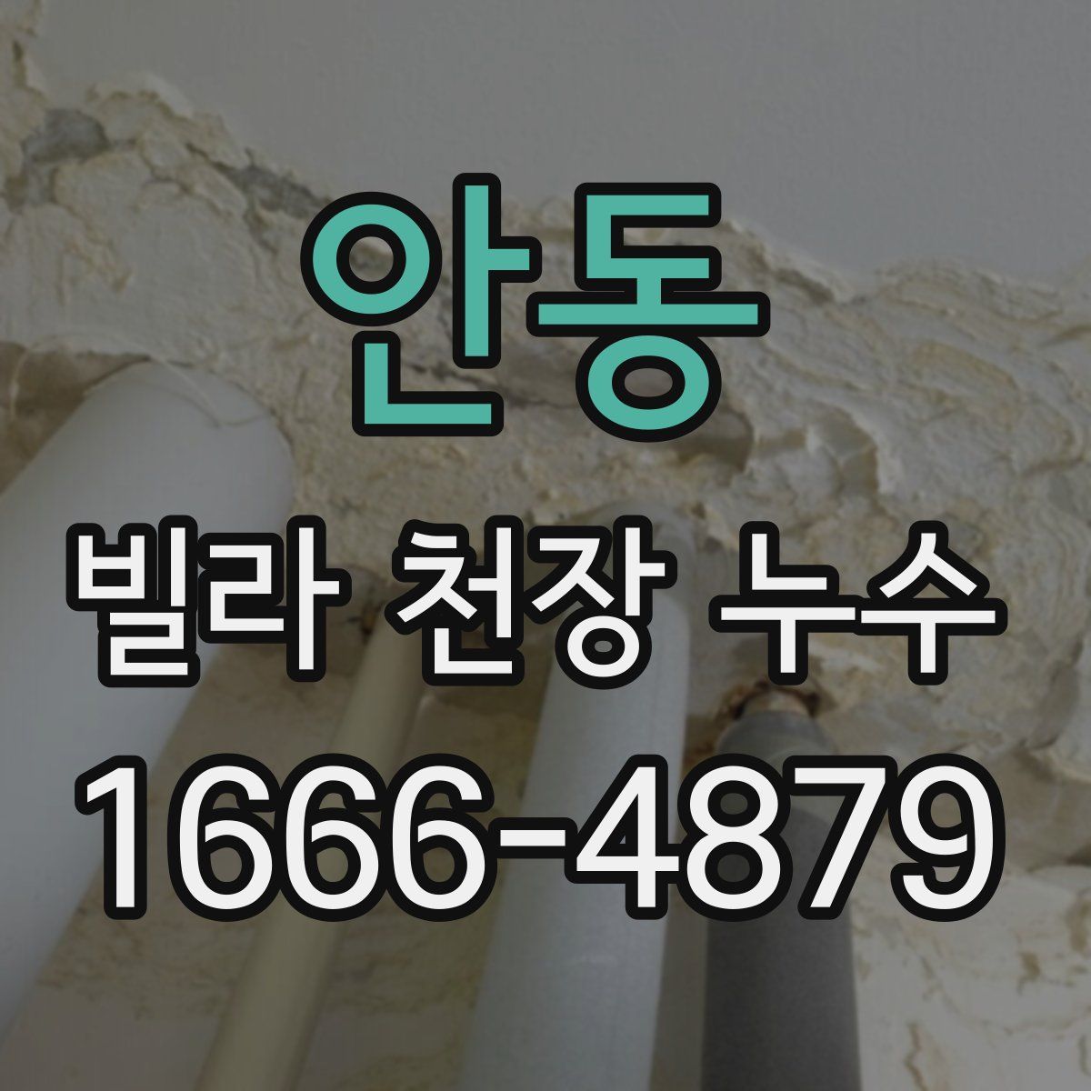안동 빌라 천장 누수