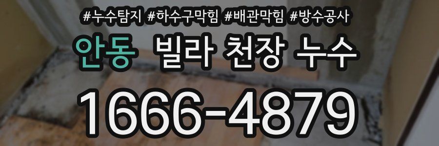 안동 빌라 천장 누수