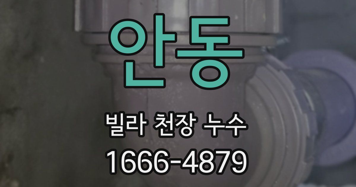 안동 빌라 천장 누수