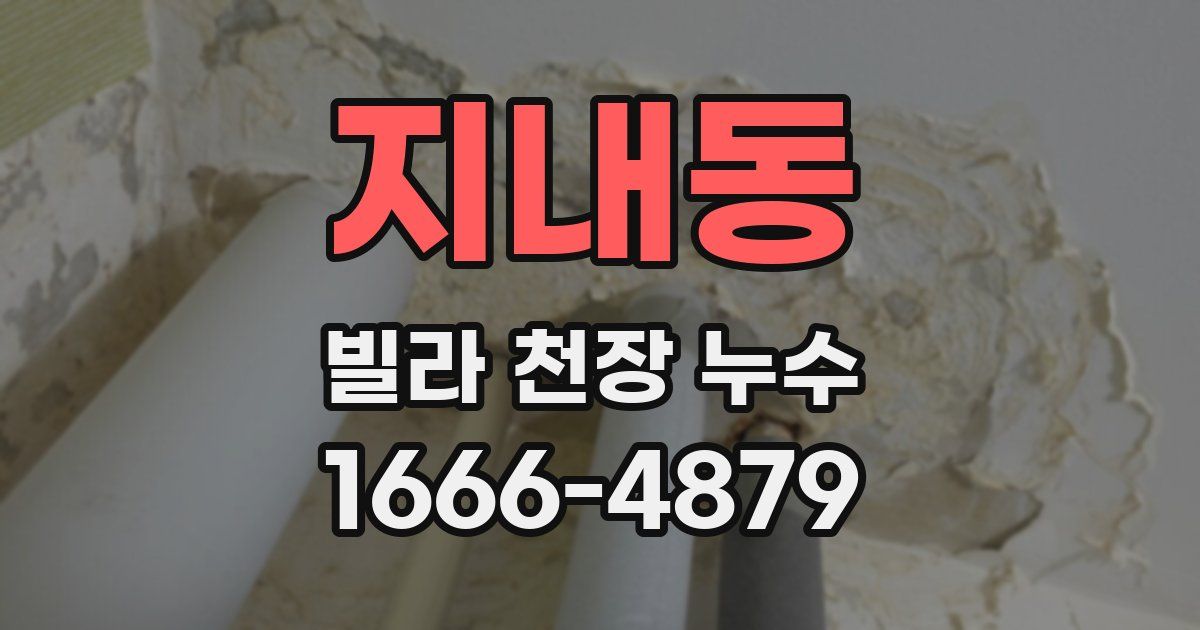 지내동 빌라 천장 누수