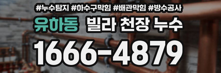 유하동 빌라 천장 누수