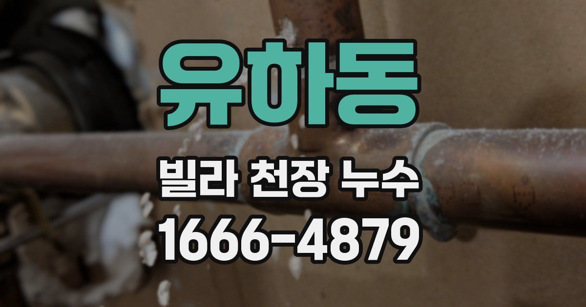 유하동 빌라 천장 누수