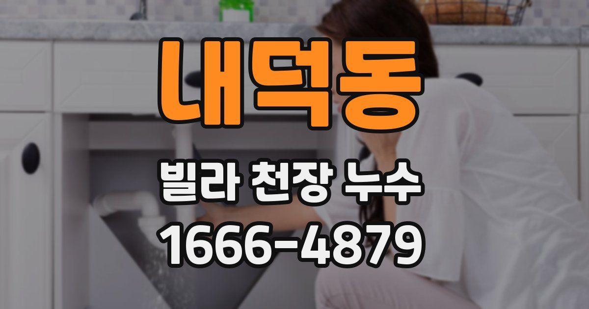 내덕동 빌라 천장 누수