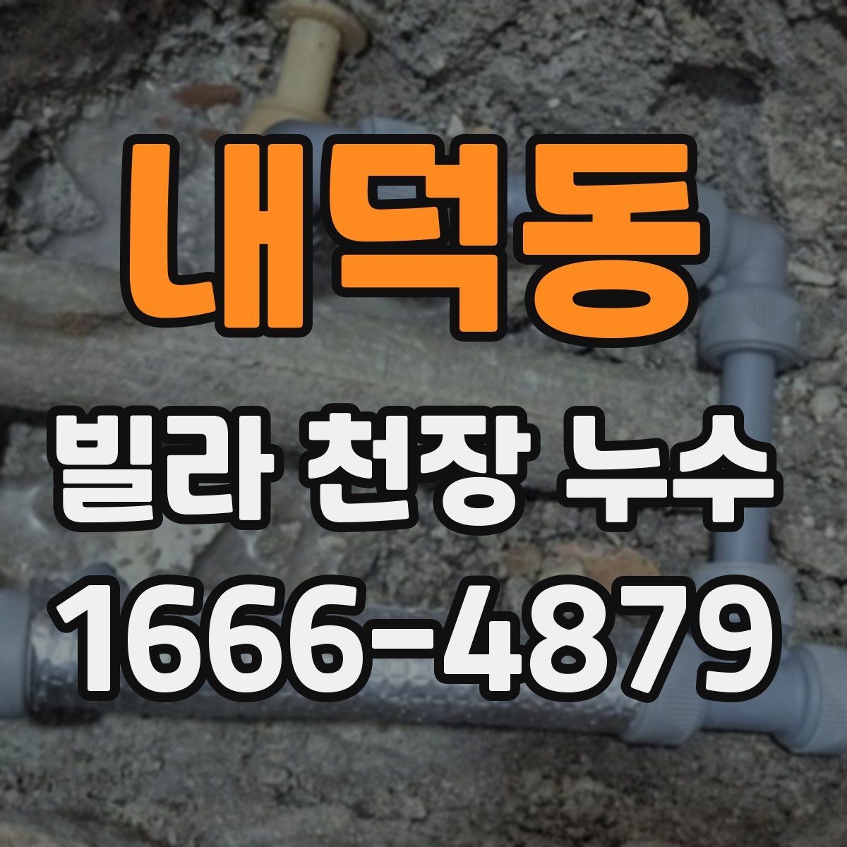 내덕동 빌라 천장 누수