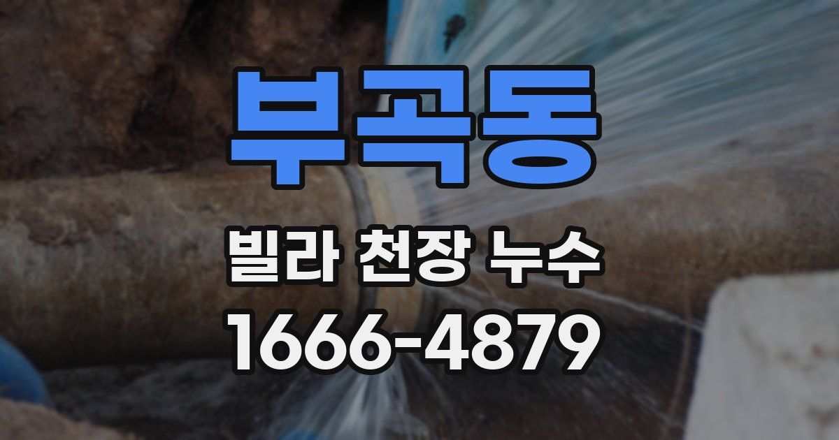부곡동 빌라 천장 누수