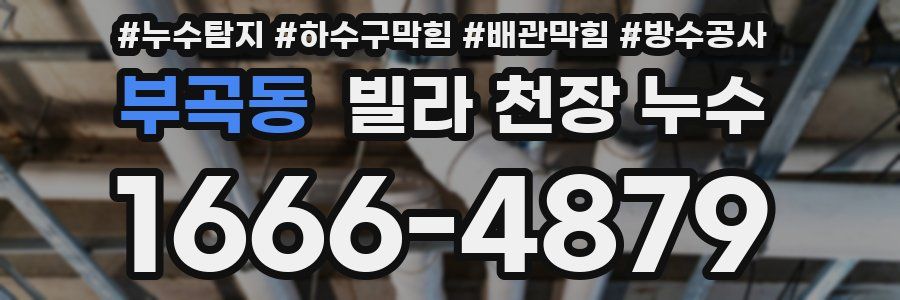 부곡동 빌라 천장 누수