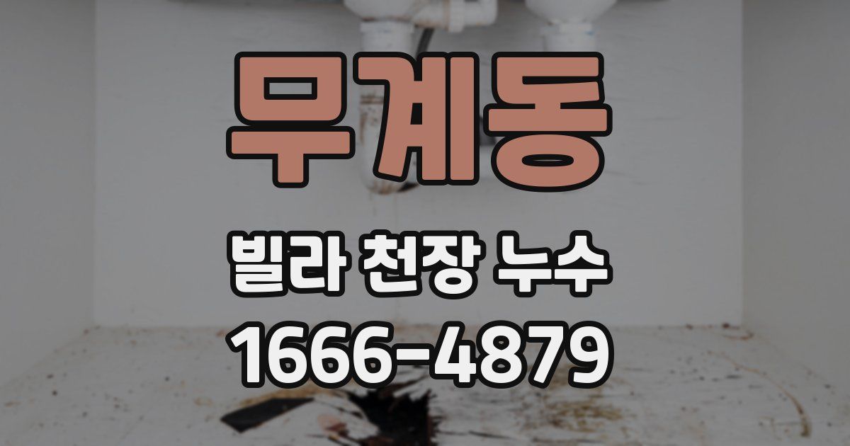 무계동 빌라 천장 누수