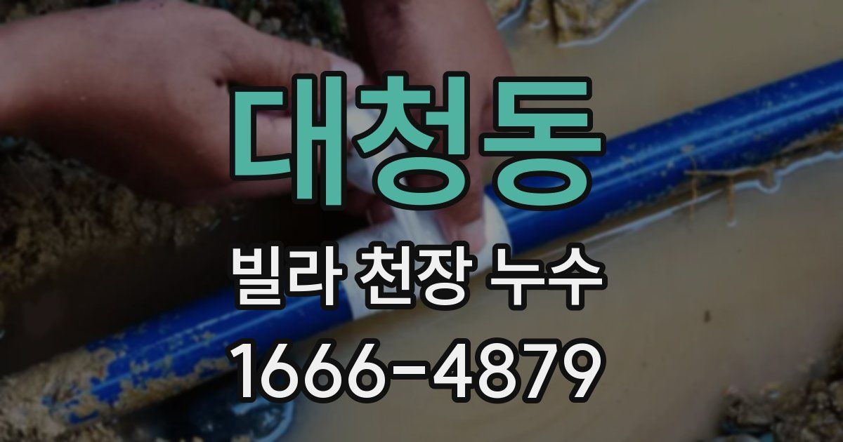 대청동 빌라 천장 누수