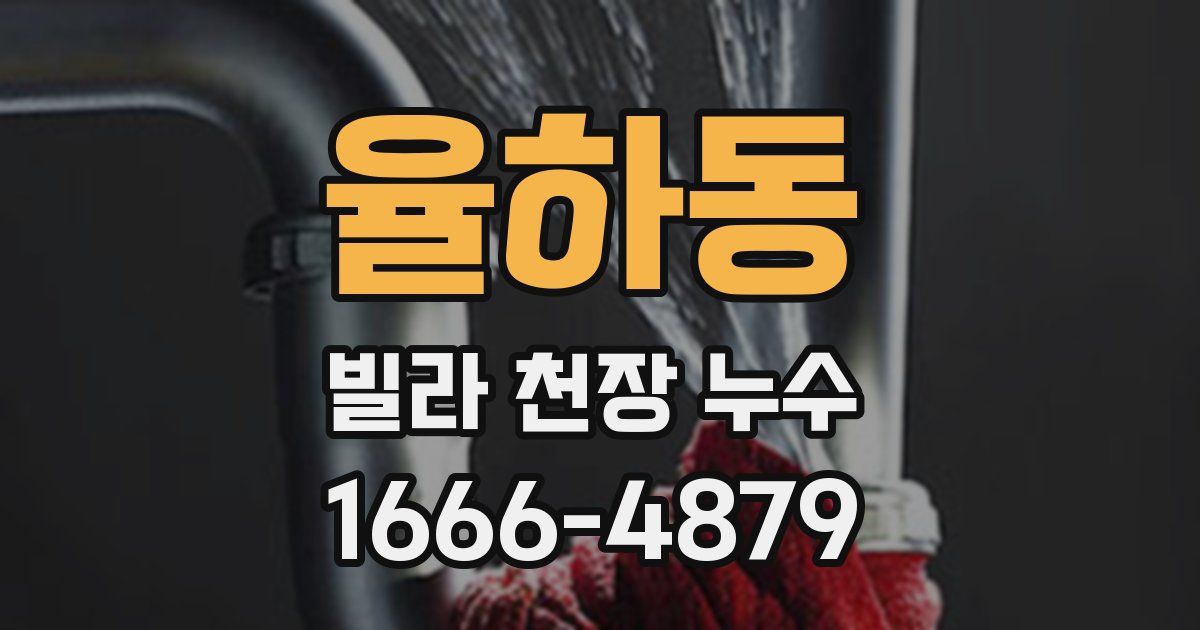 율하동 빌라 천장 누수