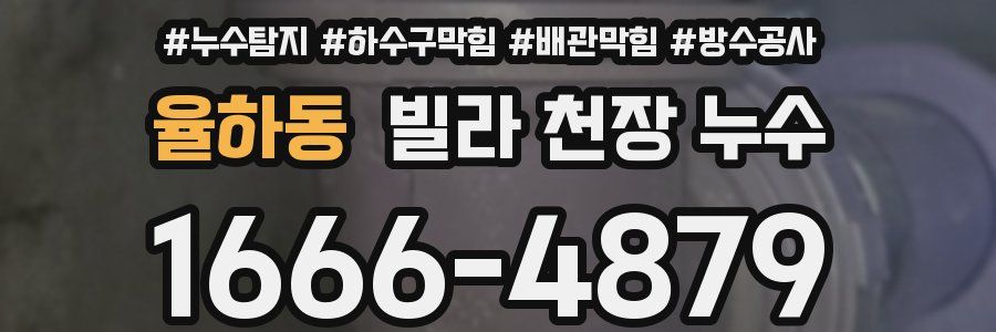 율하동 빌라 천장 누수