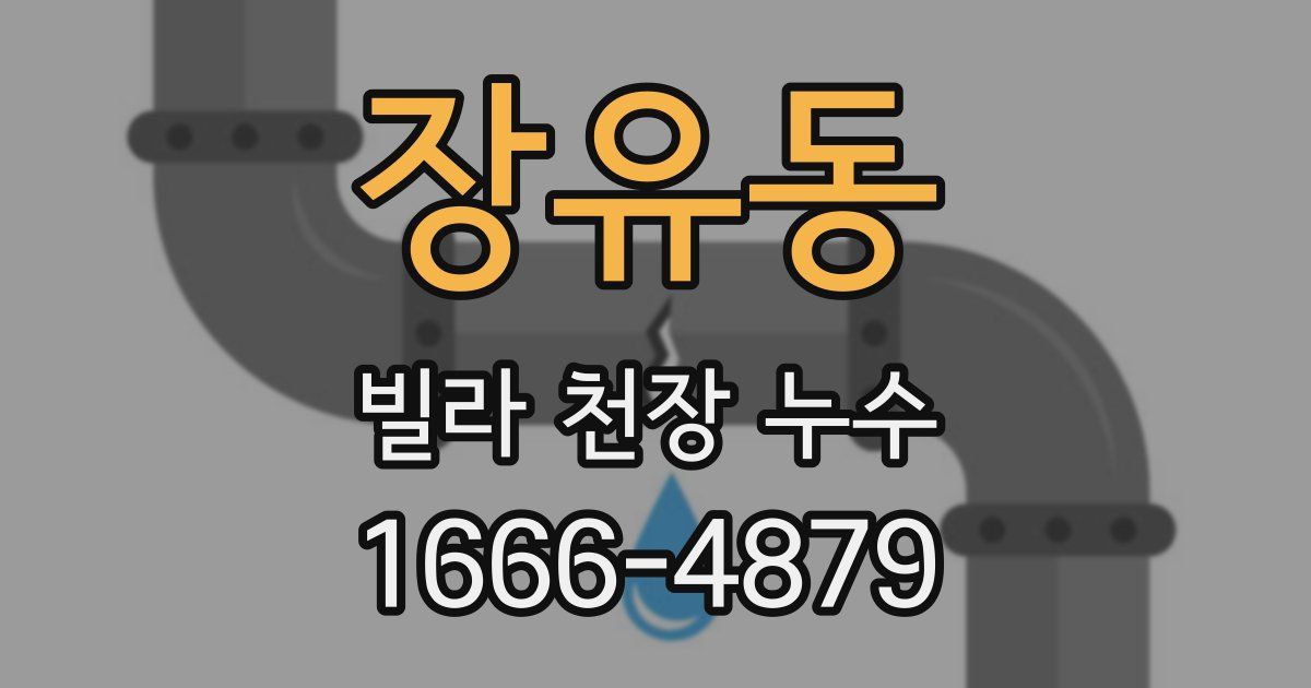 장유동 빌라 천장 누수