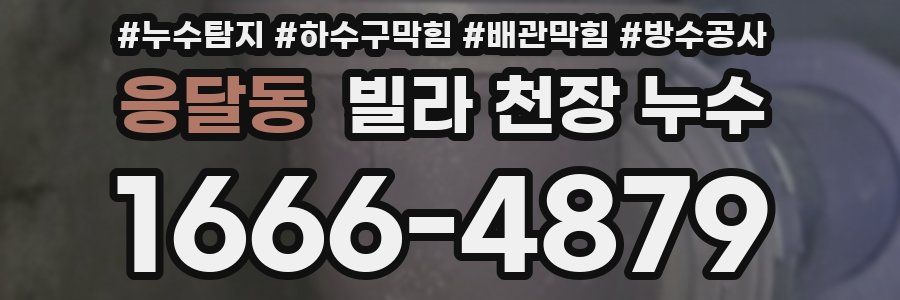 응달동 빌라 천장 누수