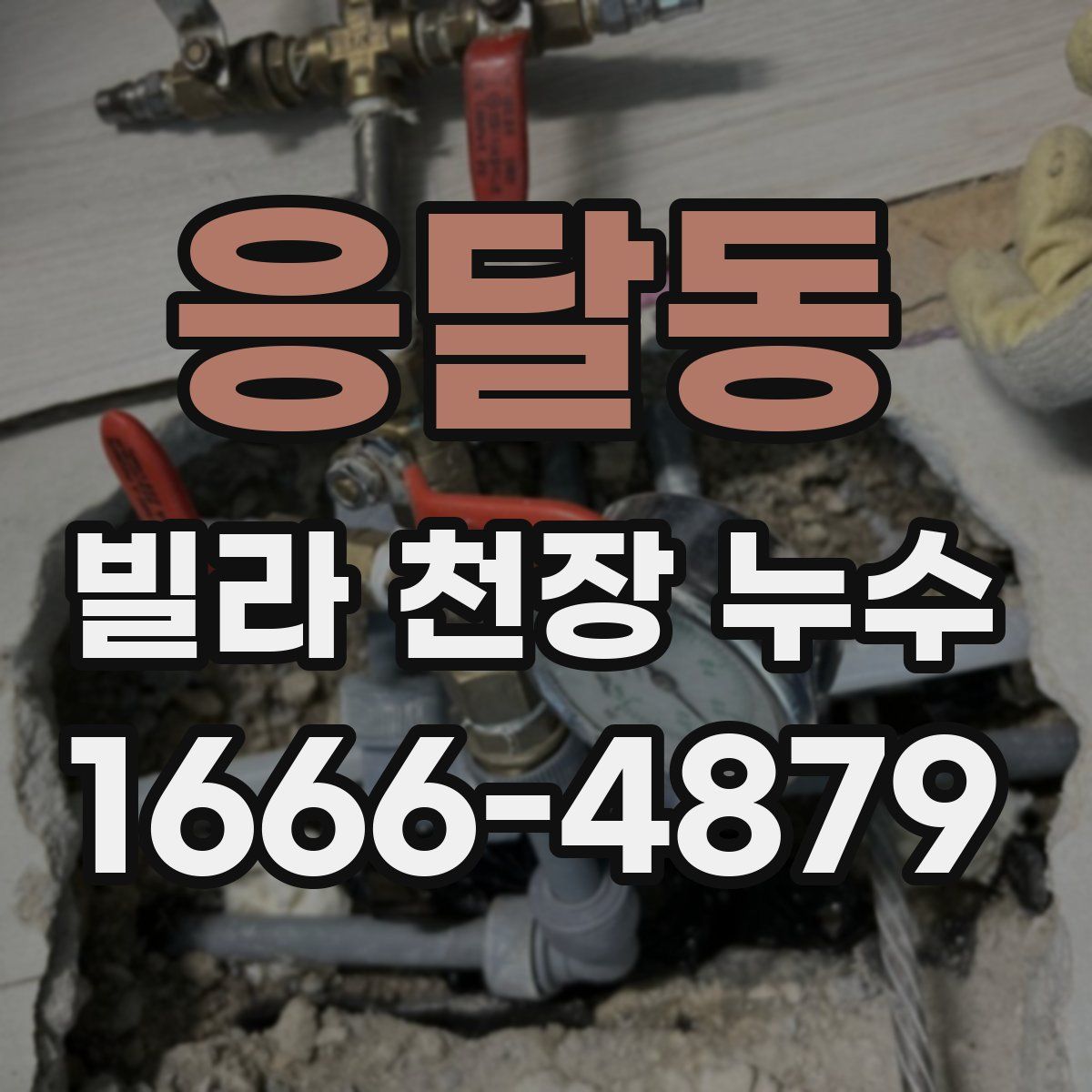 응달동 빌라 천장 누수