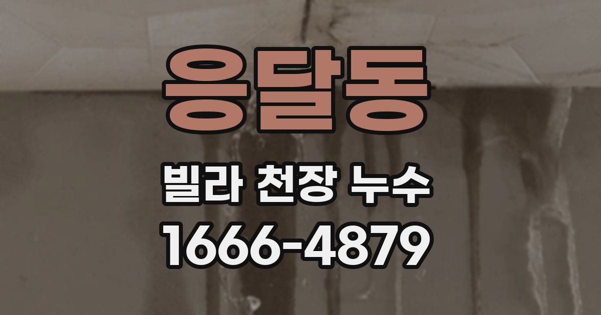 응달동 빌라 천장 누수