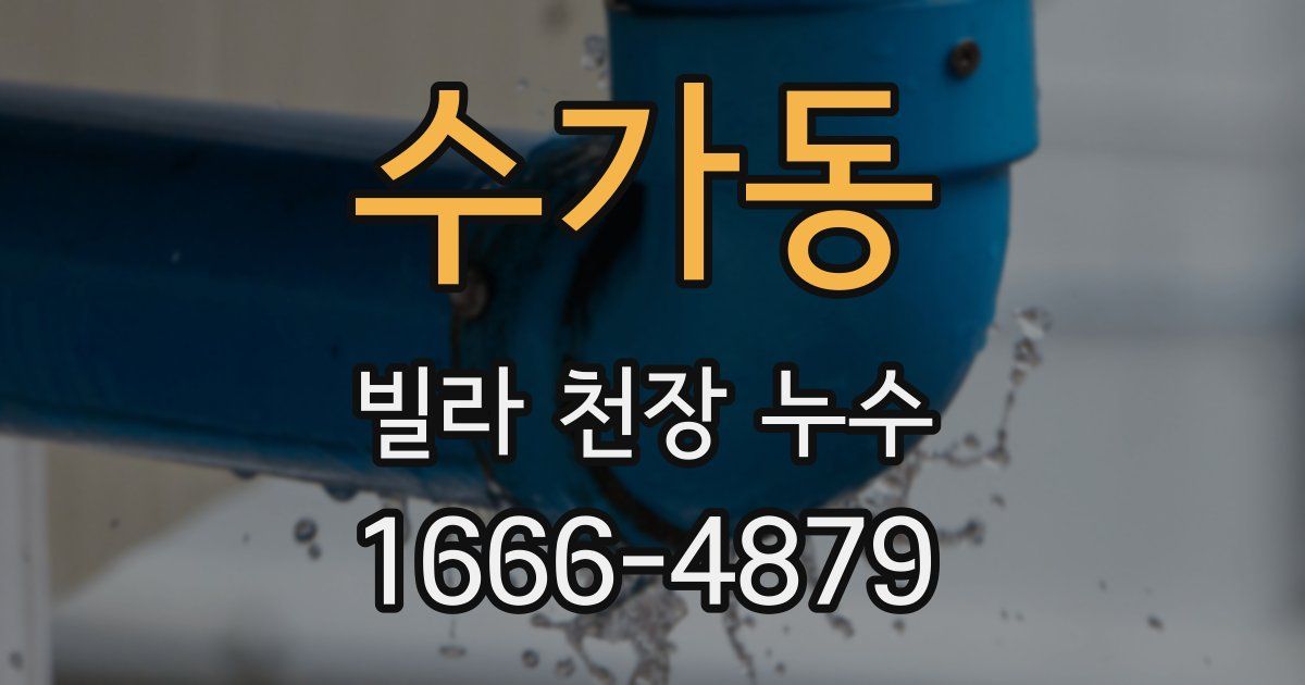 수가동 빌라 천장 누수