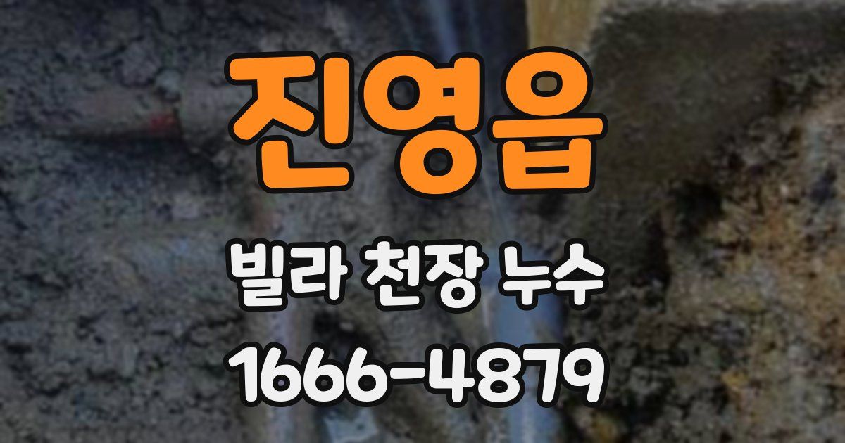 진영읍 빌라 천장 누수
