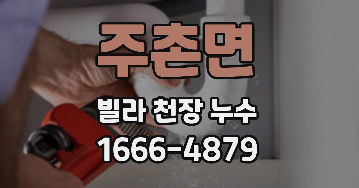주촌면 빌라 천장 누수