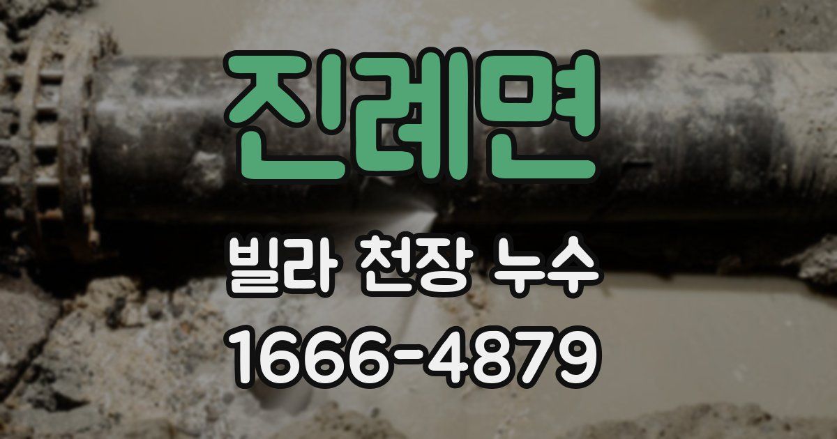 진례면 빌라 천장 누수