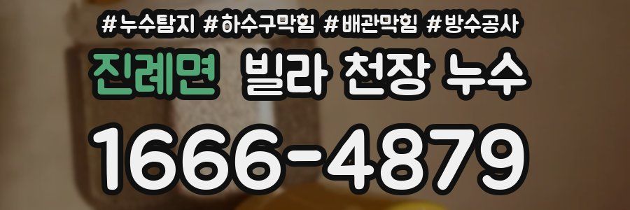 진례면 빌라 천장 누수
