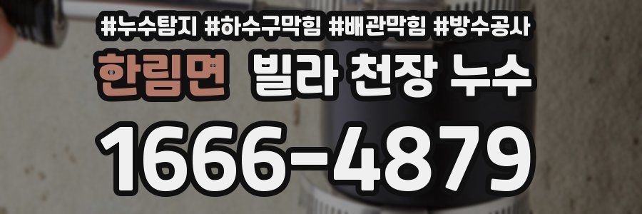 한림면 빌라 천장 누수