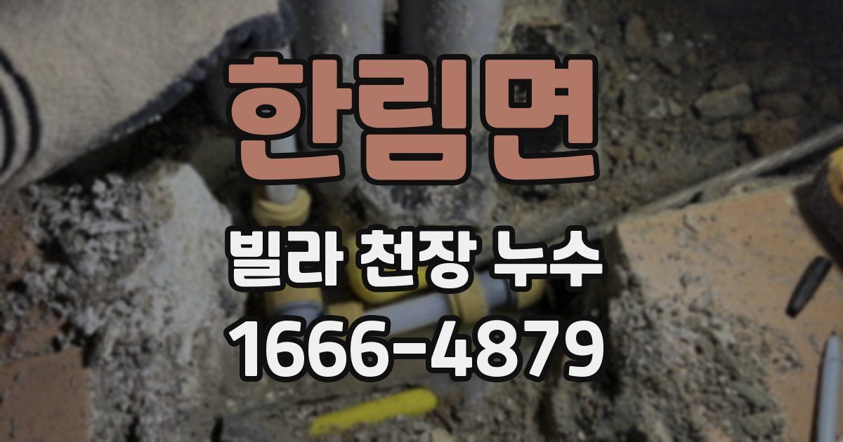 한림면 빌라 천장 누수