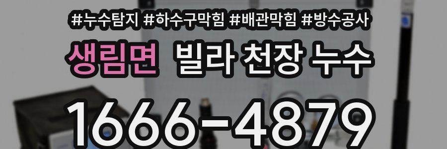 생림면 빌라 천장 누수