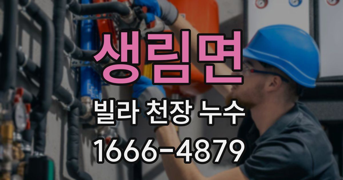 생림면 빌라 천장 누수