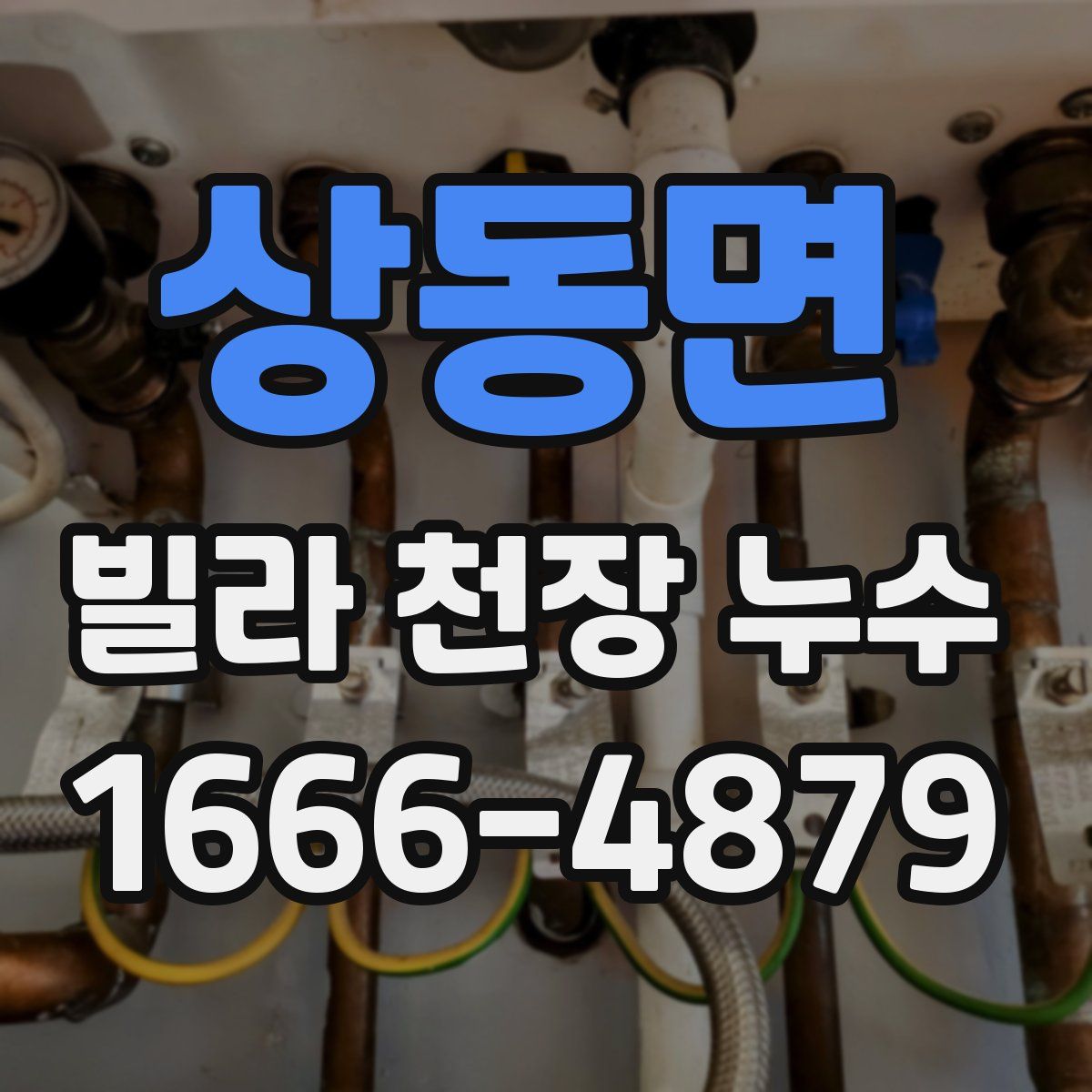 상동면 빌라 천장 누수