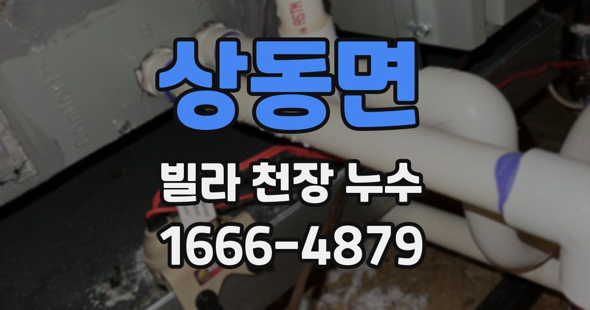 상동면 빌라 천장 누수